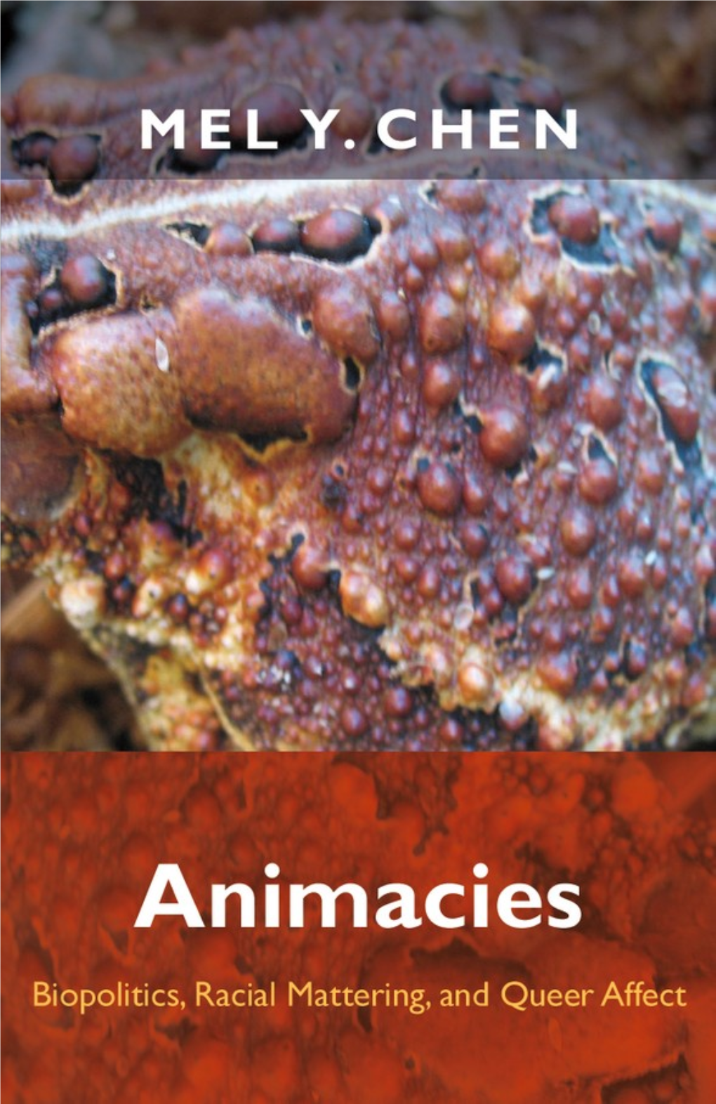 Animacies: Biopolitics, Racial Mattering, and Queer Affect