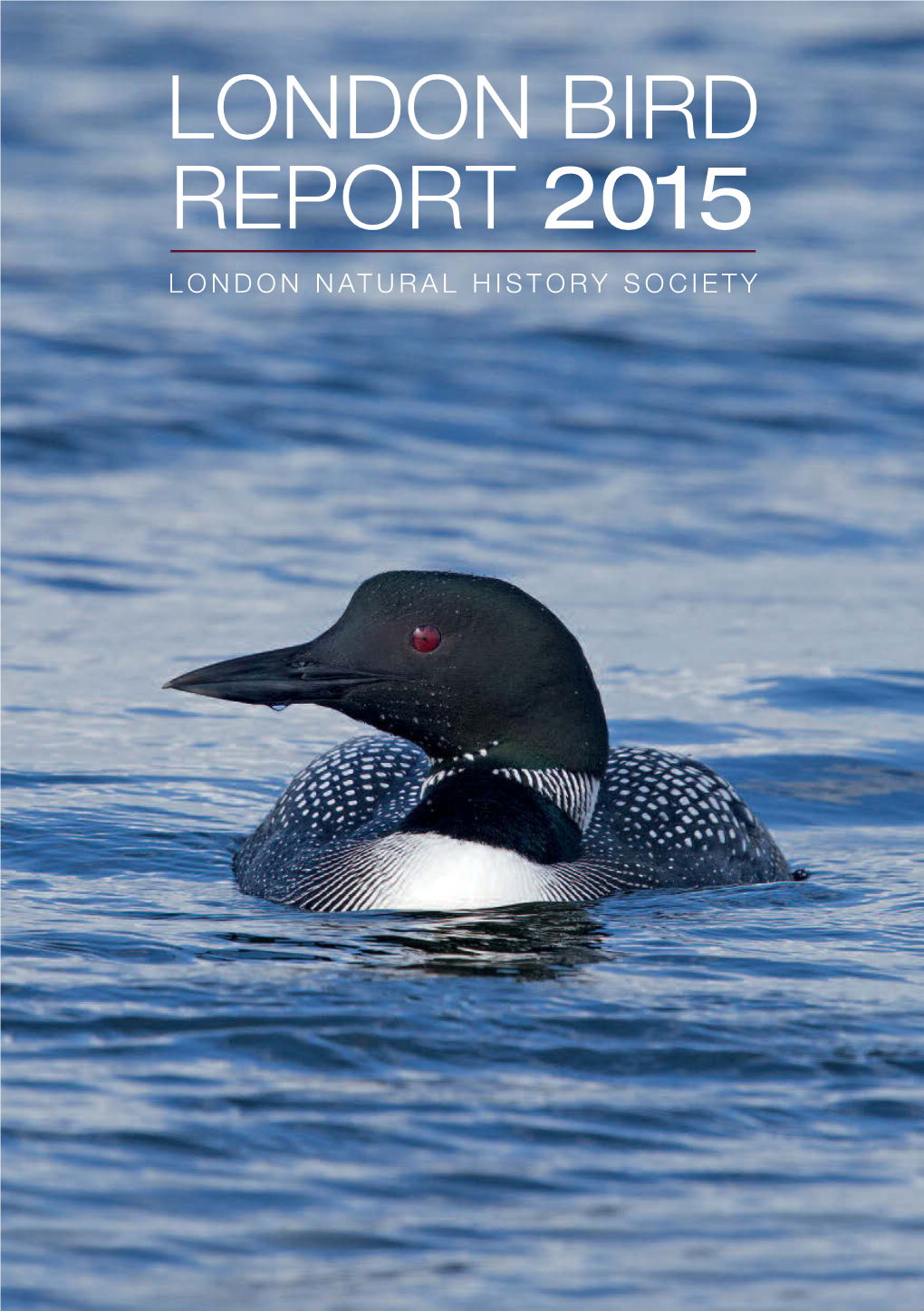 London Bird Report 2015