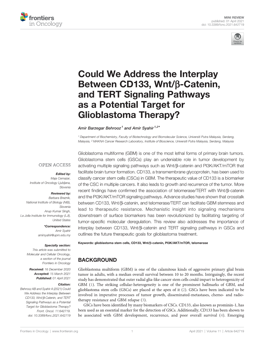 Could We Address the Interplay Between CD133, Wnt/Β-Catenin