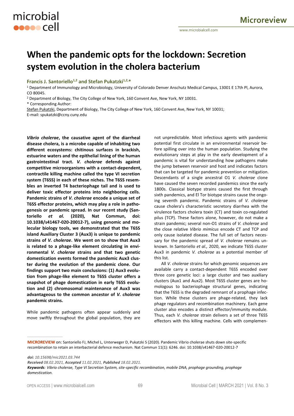 When the Pandemic Opts for the Lockdown: Secretion System Evolution in the Cholera Bacterium