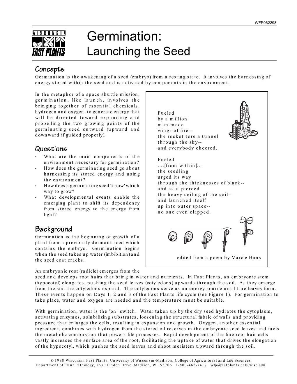 Germination: Launching the Seed