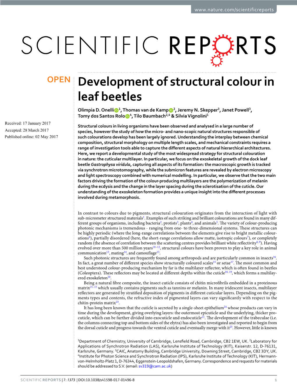 Development of Structural Colour in Leaf Beetles Olimpia D