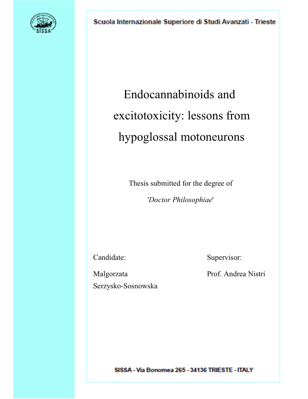 Endocannabinoids and Excitotoxicity: Lessons from Hypoglossal Motoneurons