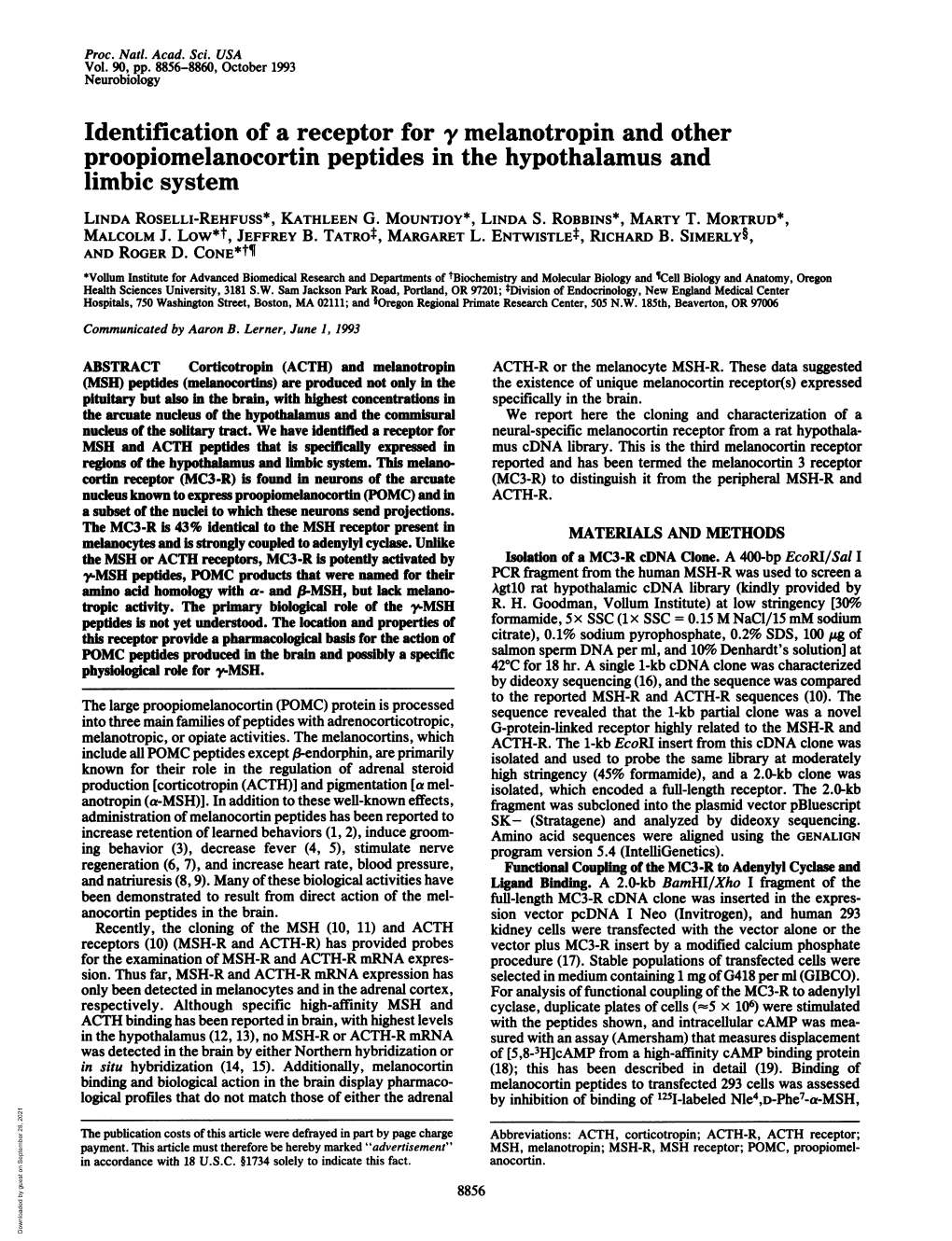 Identification of a Receptor for Y Melanotropin and Other Proopiomelanocortin Peptides in the Hypothalamus and Limbic System LINDA ROSELLI-REHFUSS*, KATHLEEN G