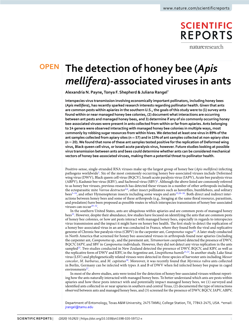 The Detection of Honey Bee (Apis Mellifera)-Associated Viruses in Ants Alexandria N