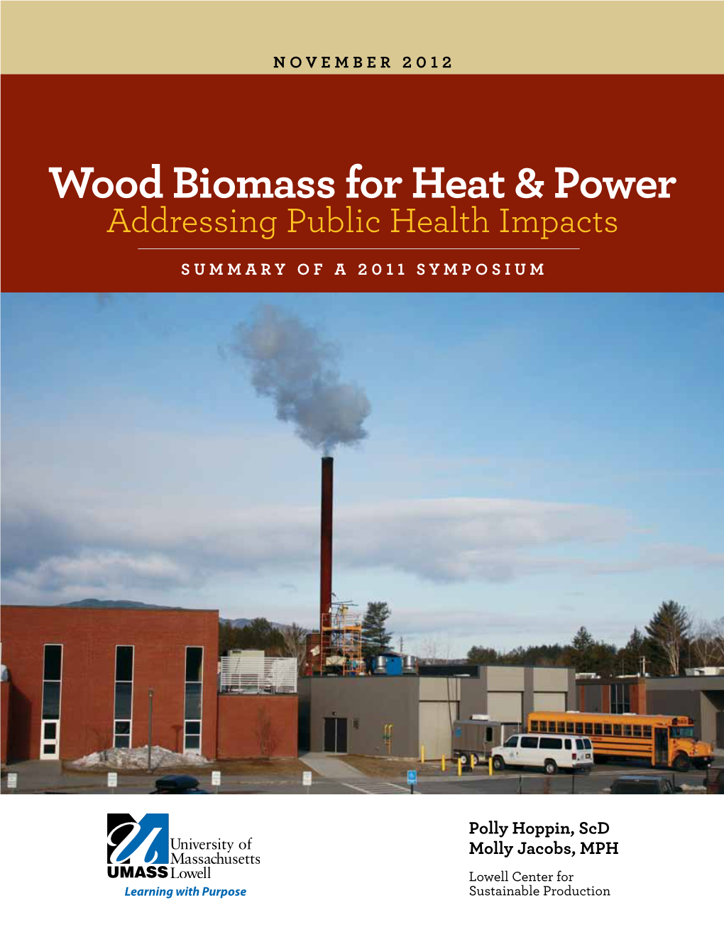Wood Biomass for Heat & Power: Addressing Public Health Impacts