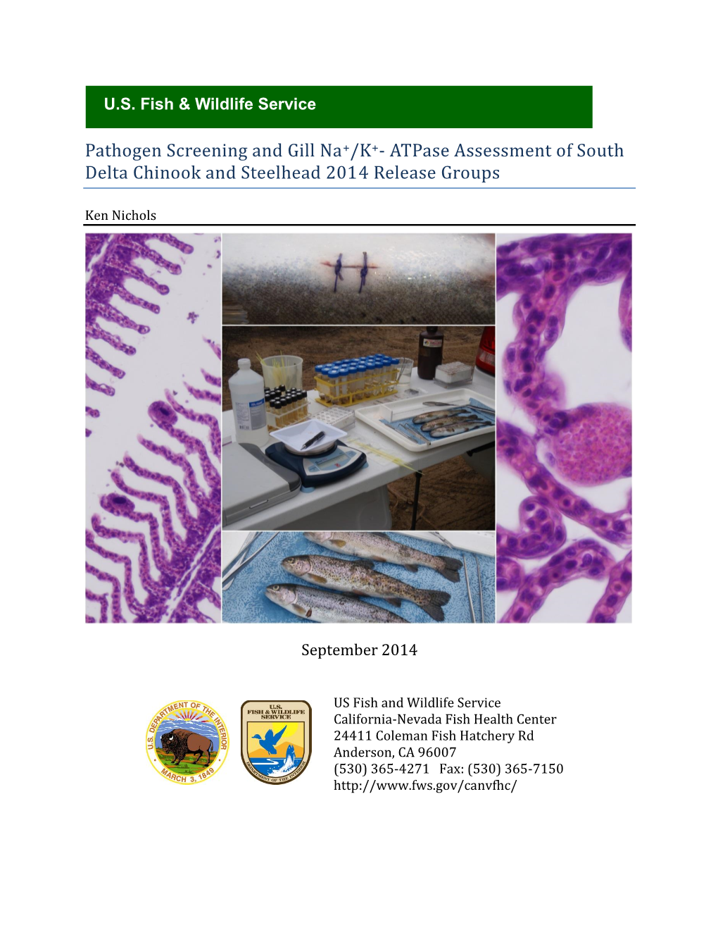 Pathogen Screening and Gill Na+/K+- Atpase Assessment of South Delta Chinook and Steelhead 2014 Release Groups