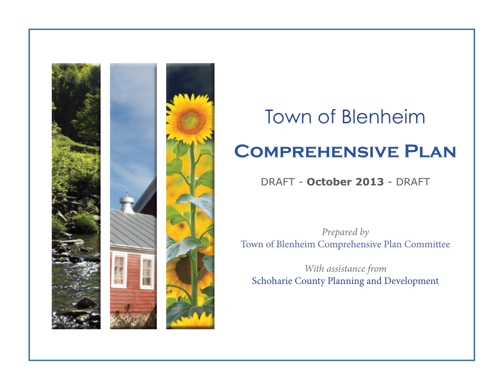 DRAFT Blenheim Comprehensive Plan 7OCT13