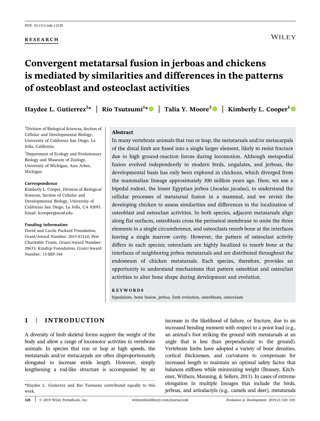 Convergent Metatarsal Fusion in Jerboas and Chickens Is Mediated by Similarities and Differences in the Patterns of Osteoblast and Osteoclast Activities