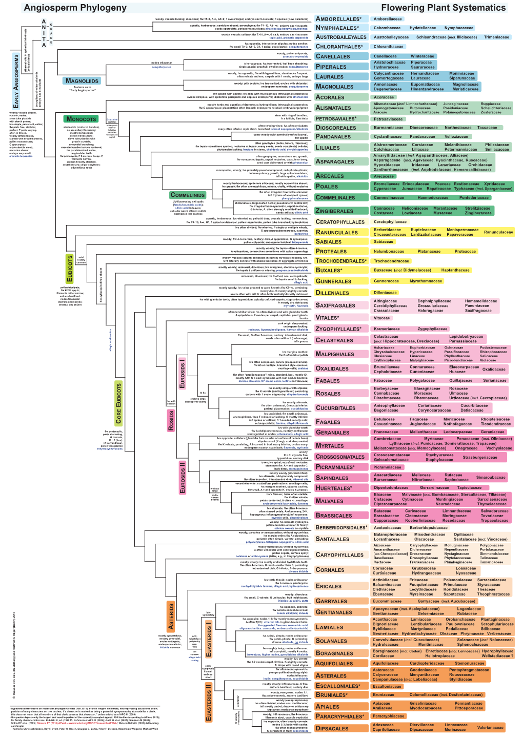 Angiosperm Phylogeny Flowering Plant Systematics