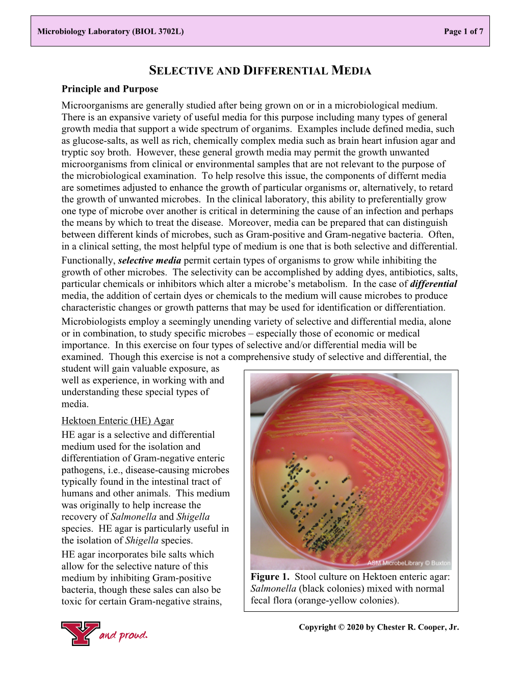 SELECTIVE and DIFFERENTIAL MEDIA Principle and Purpose Microorganisms Are Generally Studied After Being Grown on Or in a Microbiological Medium