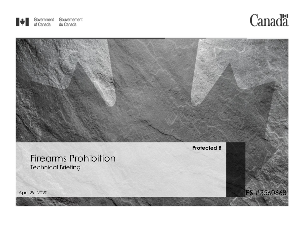 Firearms Prohibition Technical Briefing