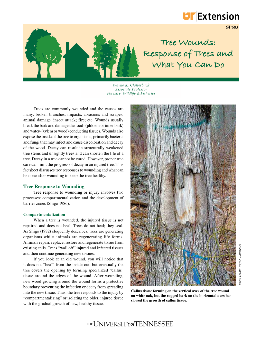 Tree Wounds: Response of Trees and What You Can Do