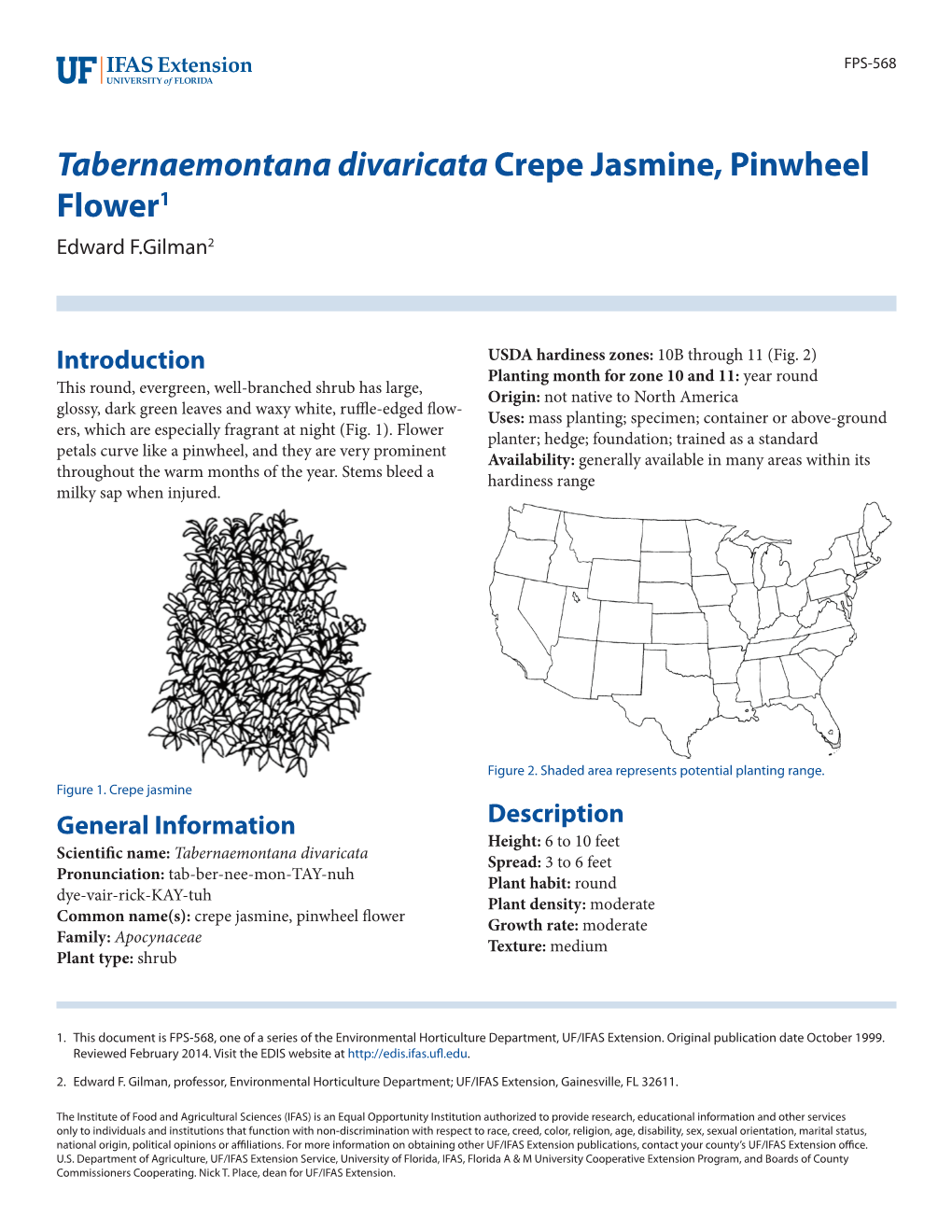 Tabernaemontana Divaricata Crepe Jasmine, Pinwheel Flower1 Edward F.Gilman2