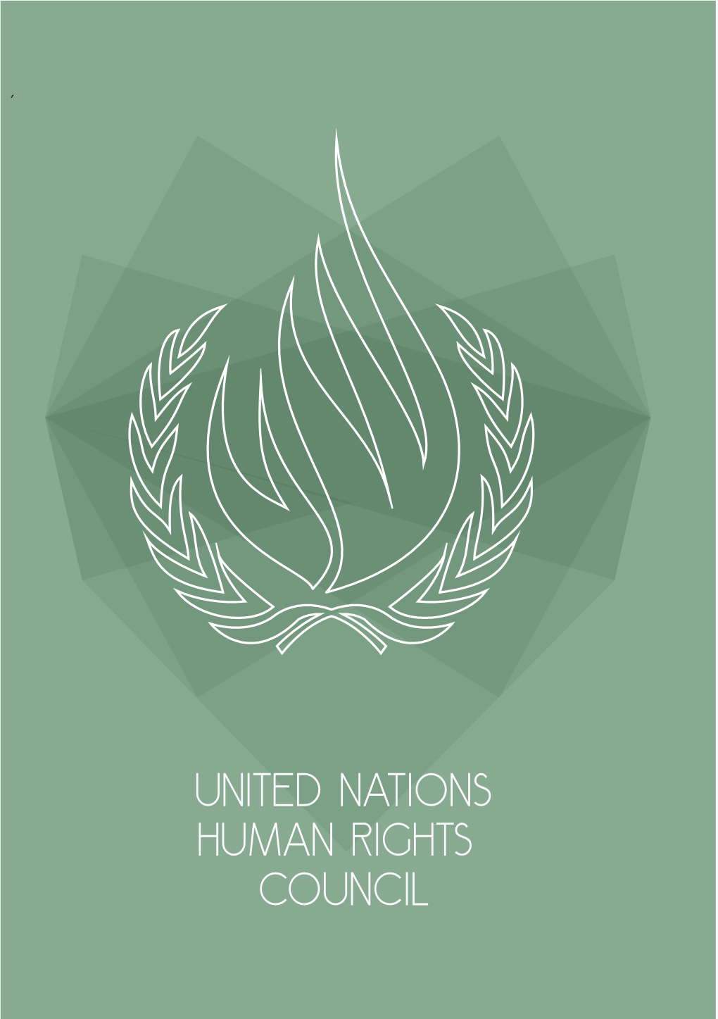 United Nations Human Rights Council