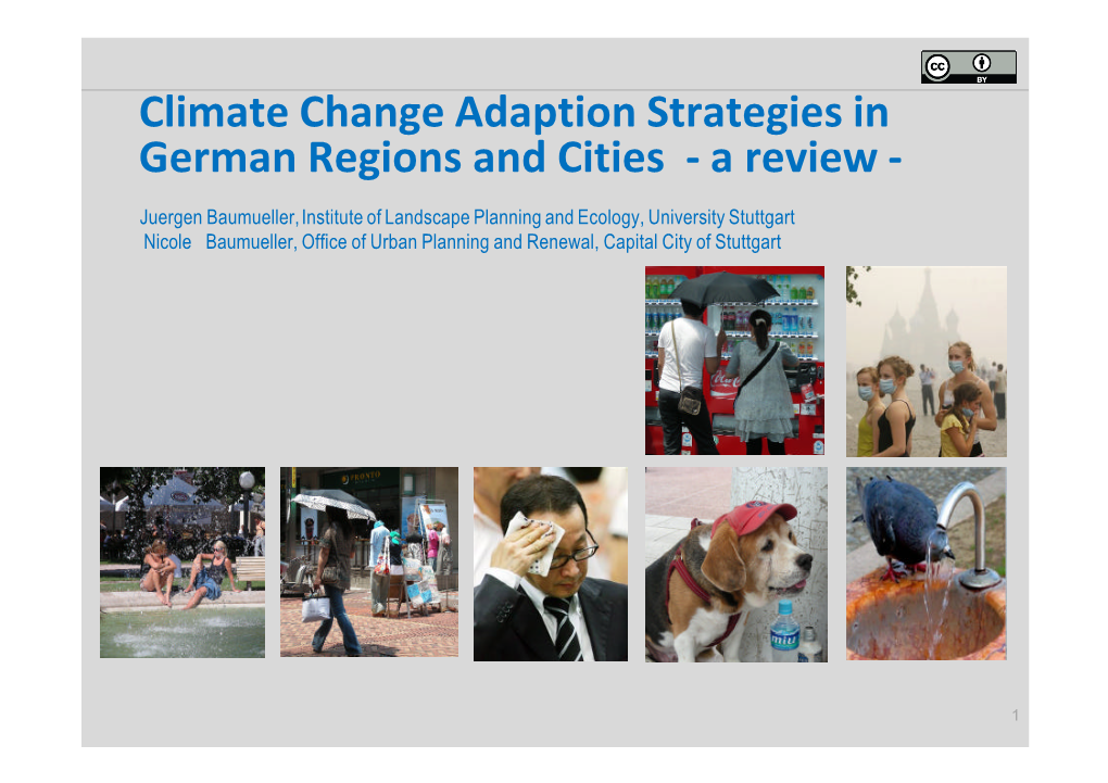 Climate Change Adaption Strategies in German Regions and Cities-A