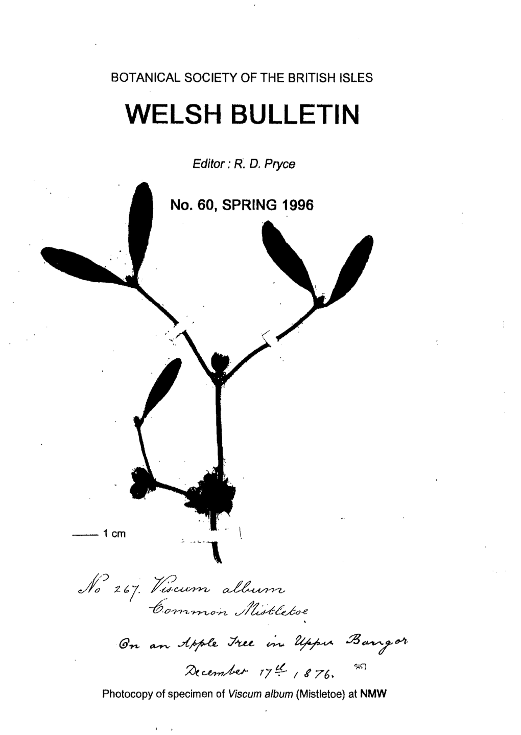 Welsh Bulletin