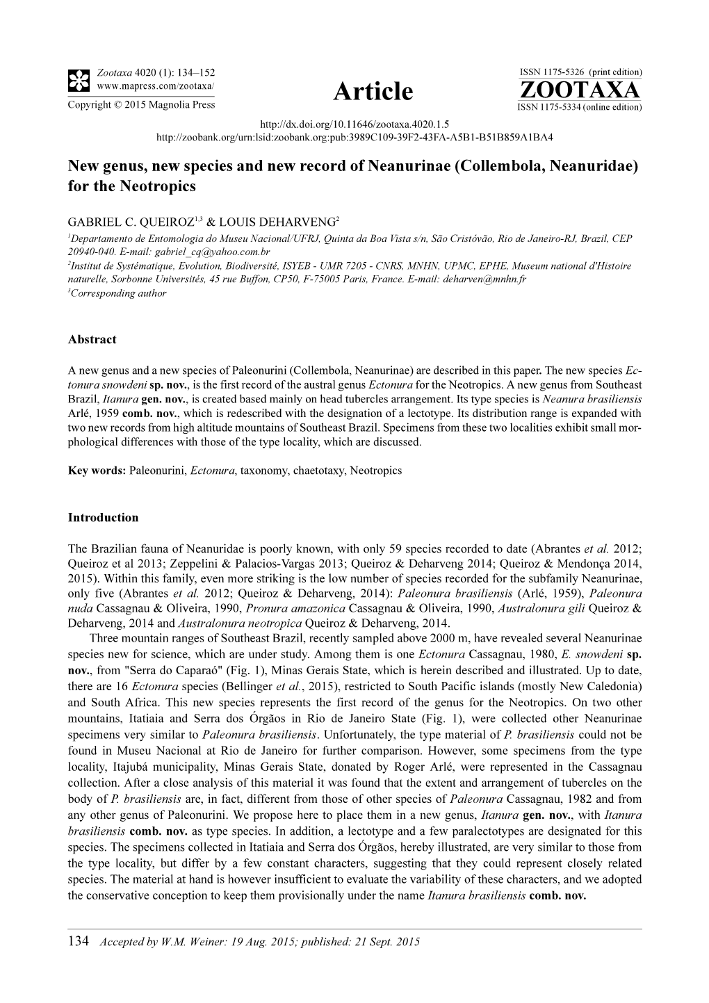 New Genus, New Species and New Record of Neanurinae (Collembola, Neanuridae) for the Neotropics