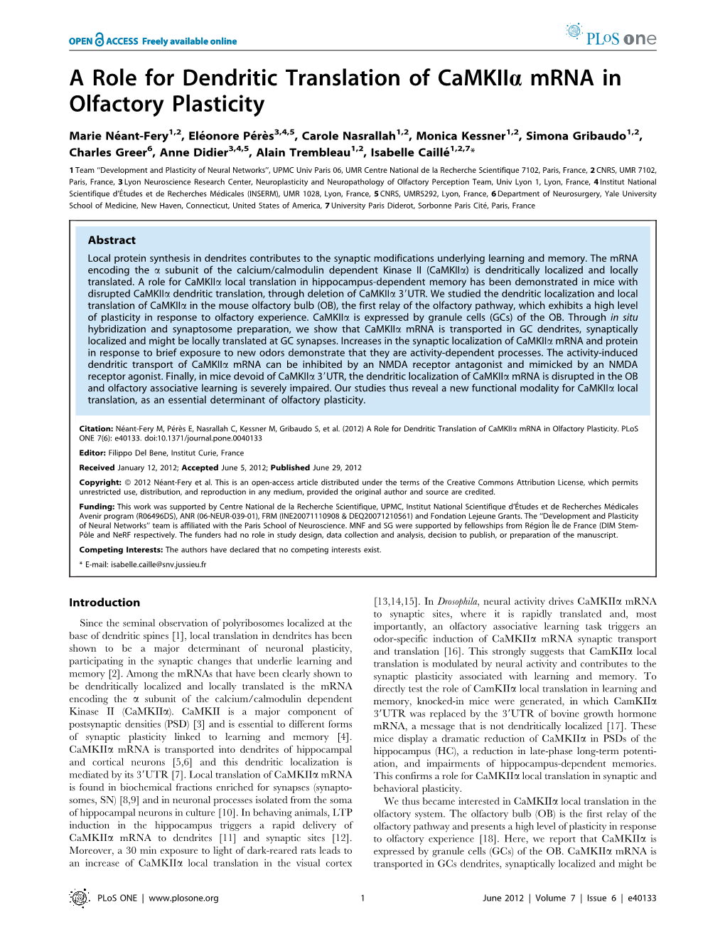 A Role for Dendritic Translation of Camkiia Mrna in Olfactory Plasticity