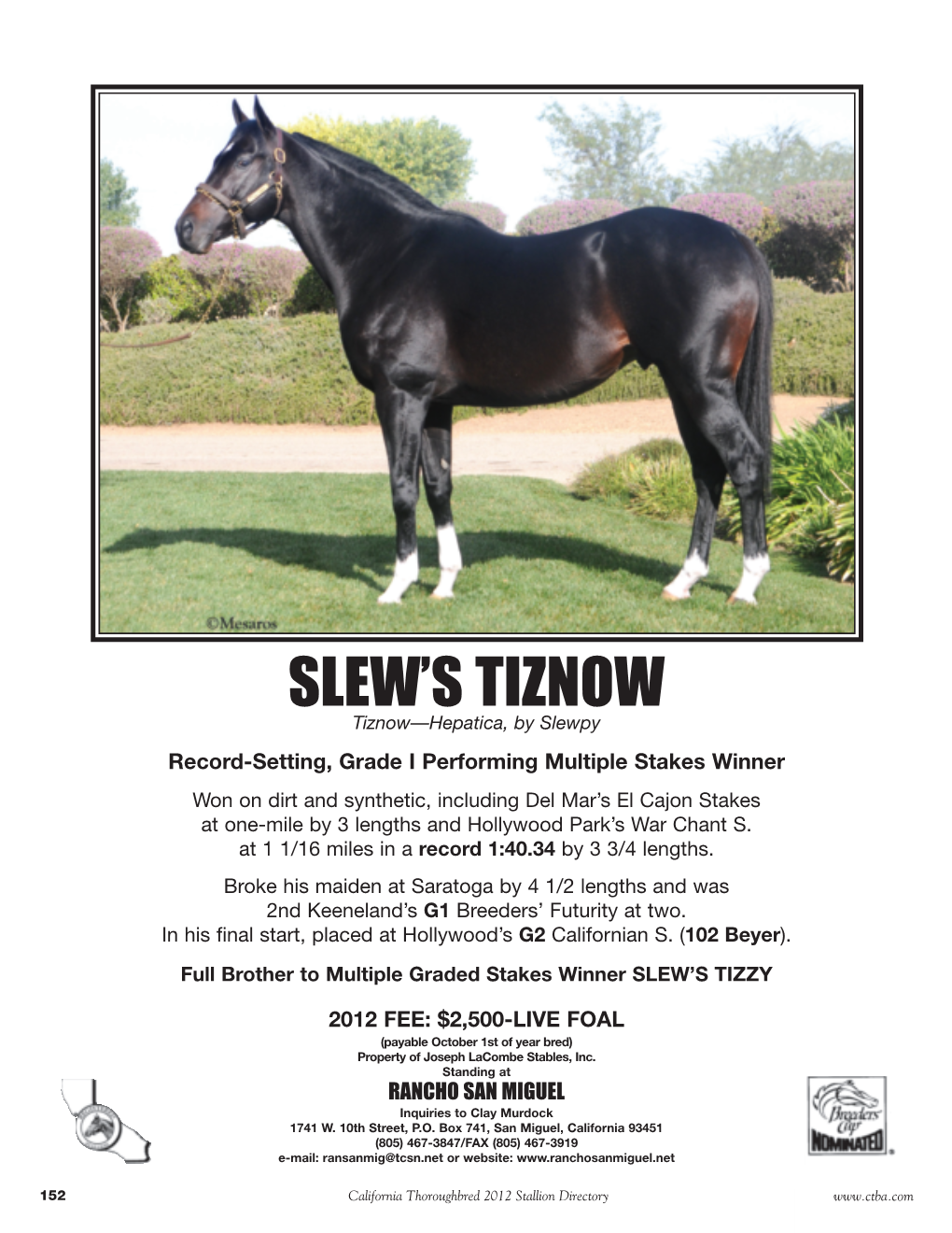 SLEW's TIZNOW Enters Stud in 2012