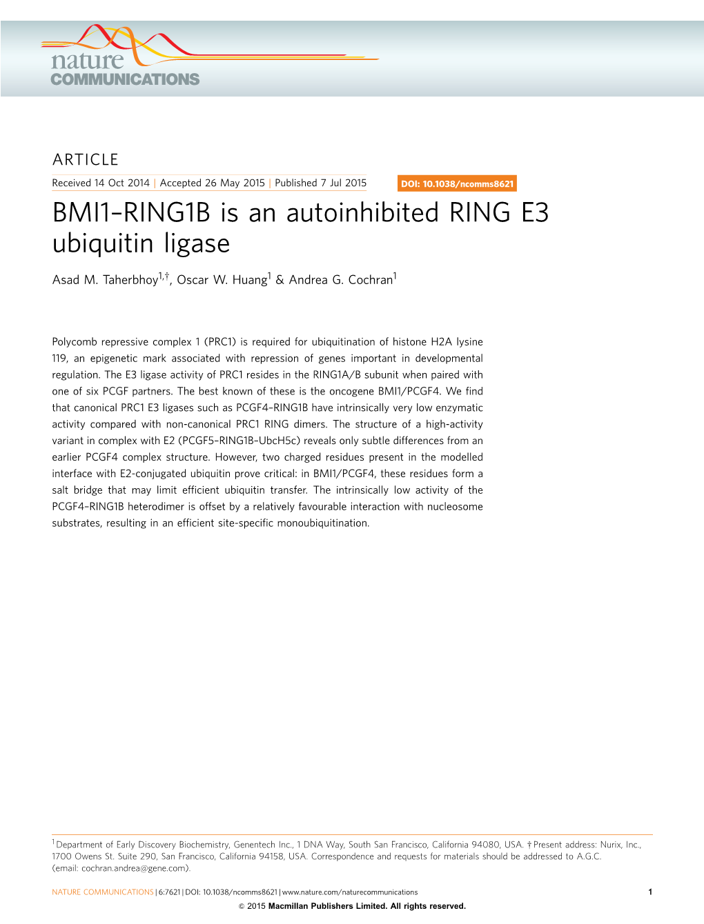 RING1B Is an Autoinhibited RING E3 Ubiquitin Ligase