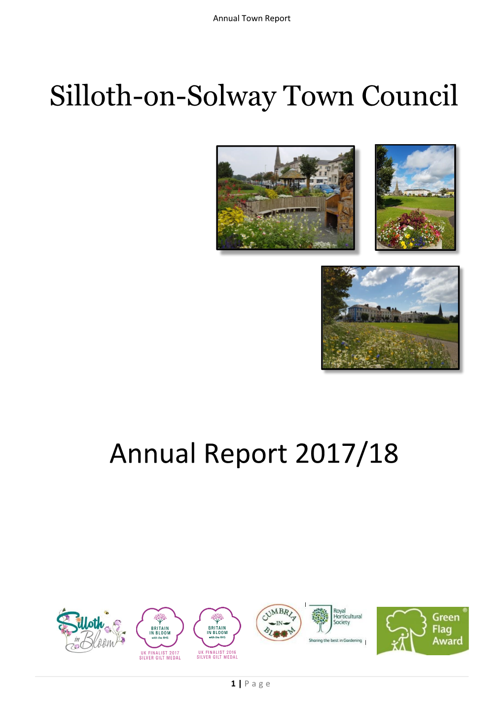 Annual Town Report