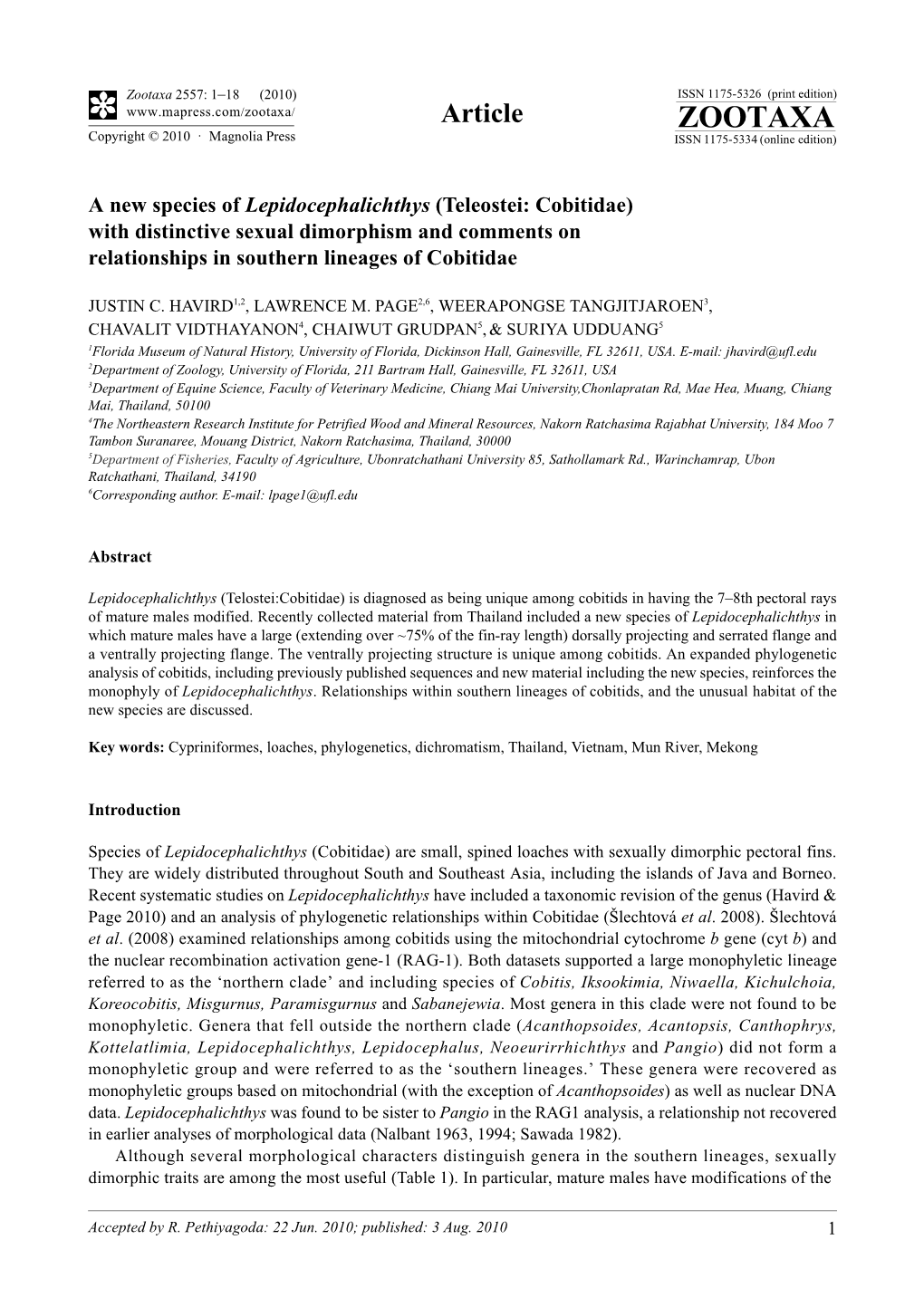 Zootaxa, a New Species of Lepidocephalichthys (Teleostei: Cobitidae)