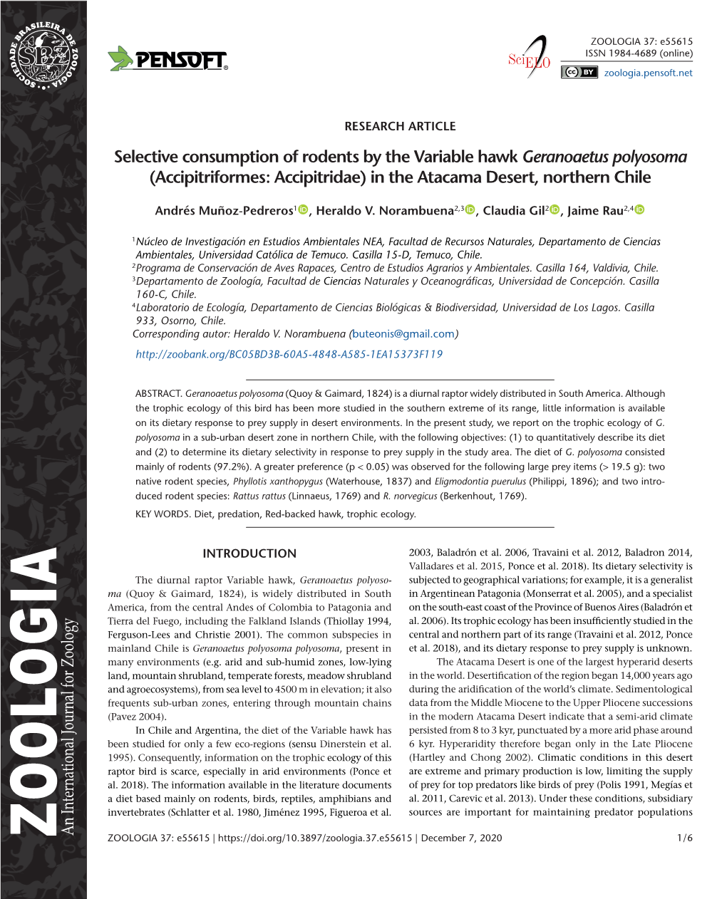 Selective Consumption of Rodents by the Variable Hawk Geranoaetus Polyosoma (Accipitriformes: Accipitridae) in the Atacama Desert, Northern Chile