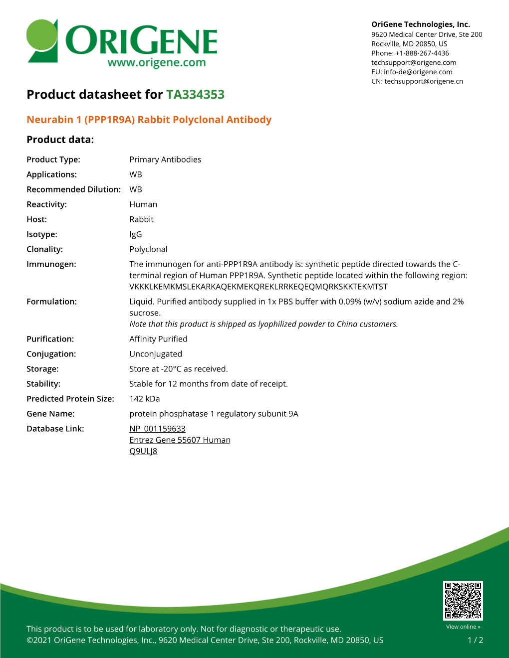 Neurabin 1 (PPP1R9A) Rabbit Polyclonal Antibody Product Data