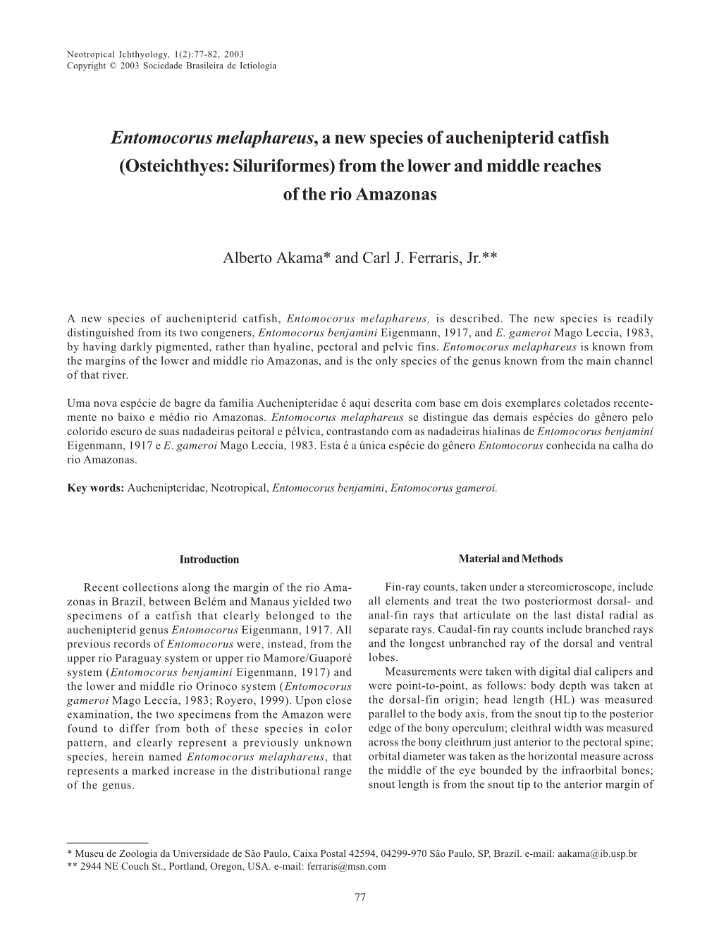 Entomocorus Melaphareus, a New Species of Auchenipterid Catfish (Osteichthyes: Siluriformes) from the Lower and Middle Reaches of the Rio Amazonas