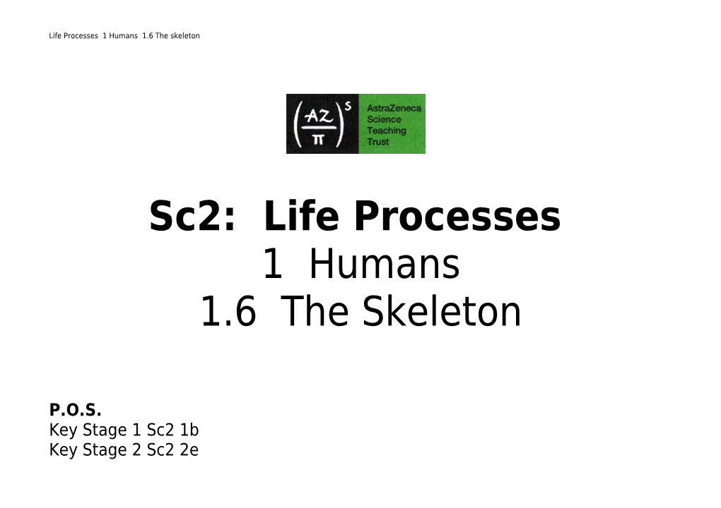 Life Processes 1 Humans 1.6 the Skeleton