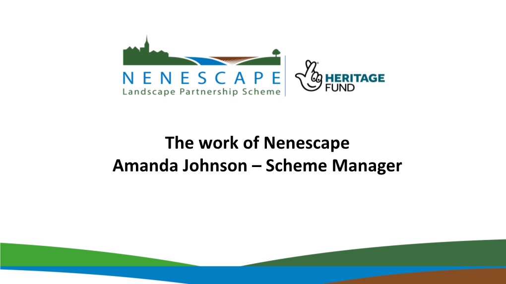 The Work of Nenescape Amanda Johnson