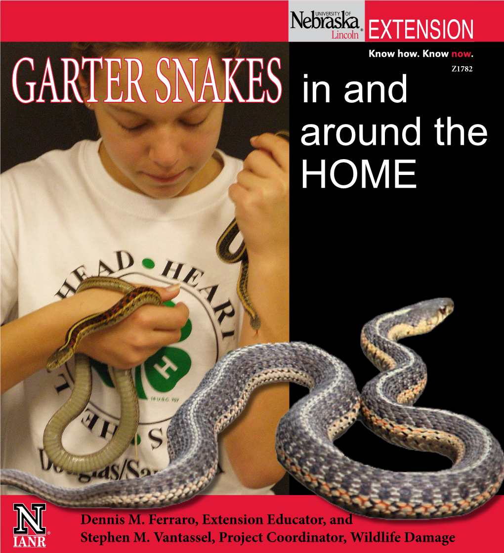 Garter Snakes in & Around the Home