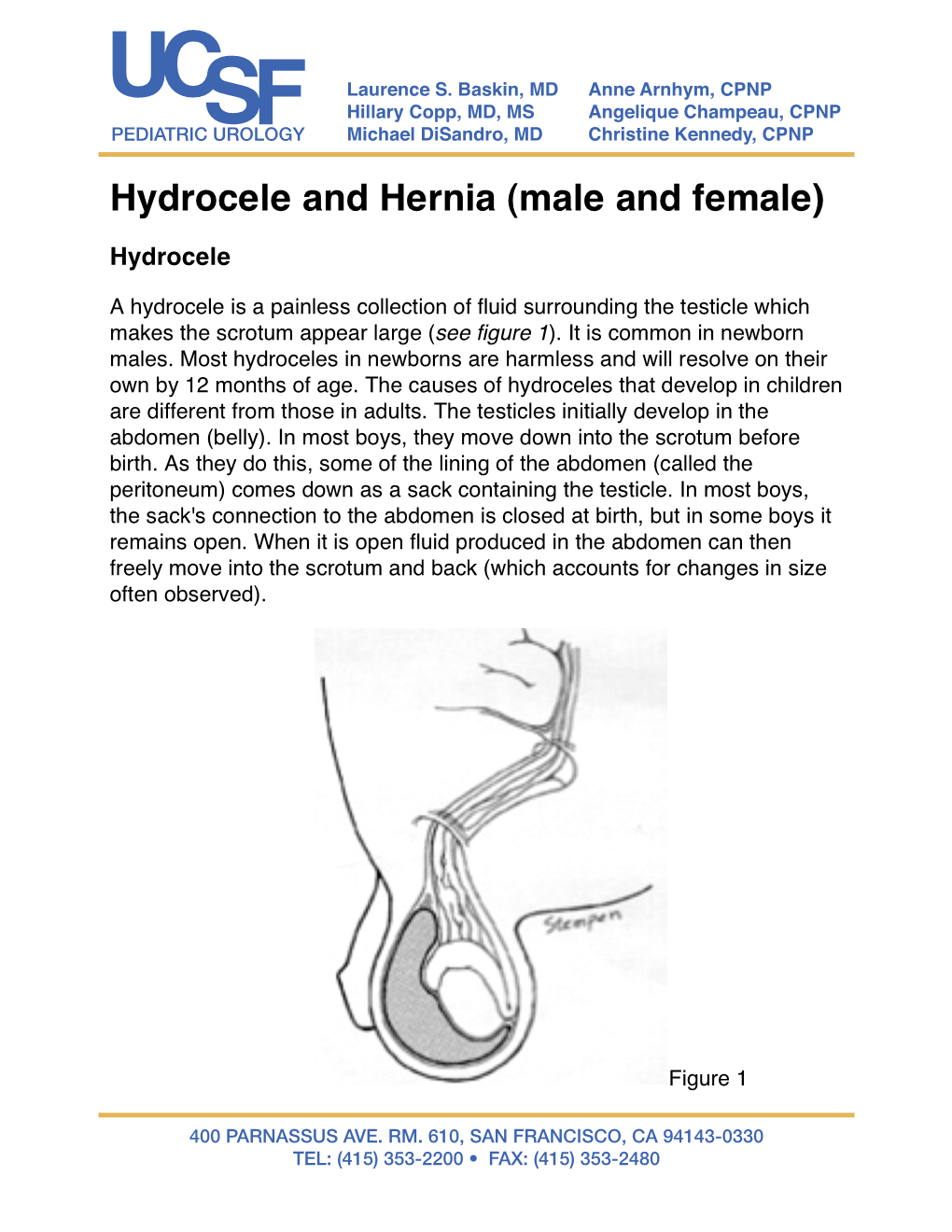 Hydrocele and Hernia (Male and Female)