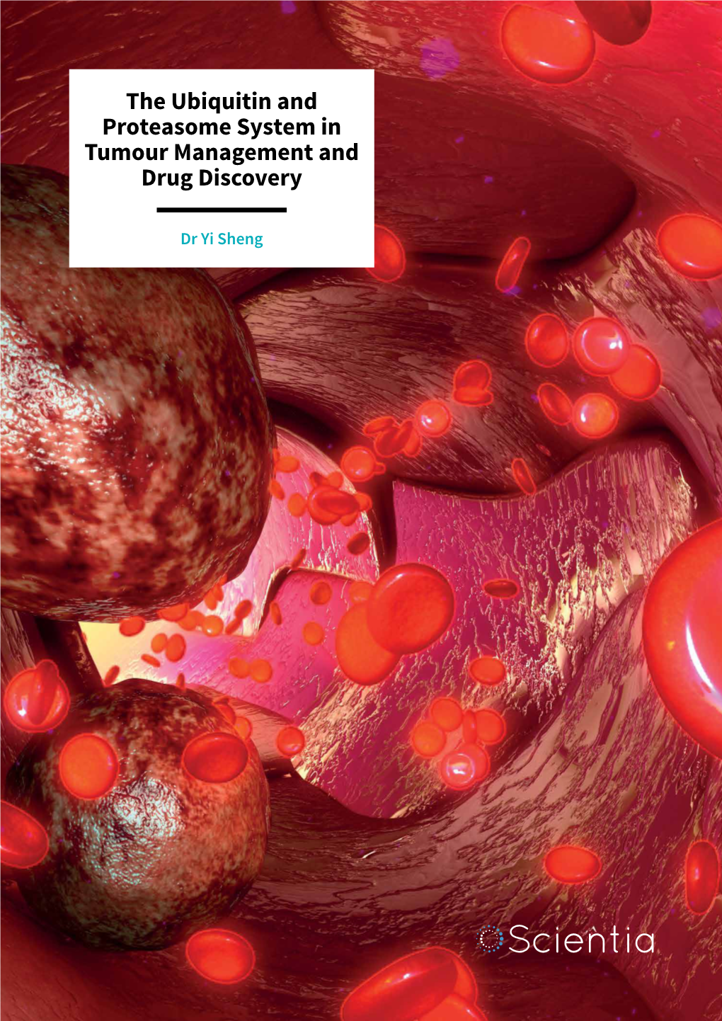 The Ubiquitin and Proteasome System in Tumour Management and Drug Discovery