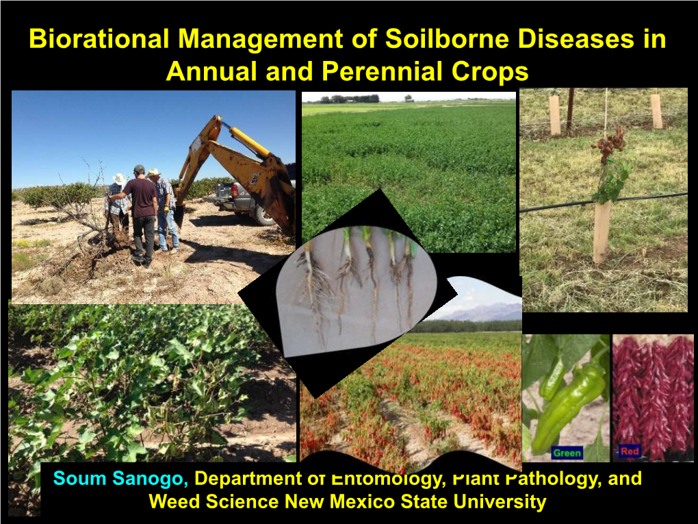 Biorational Management of Soilborne Diseases in Annual and Perennial Crops