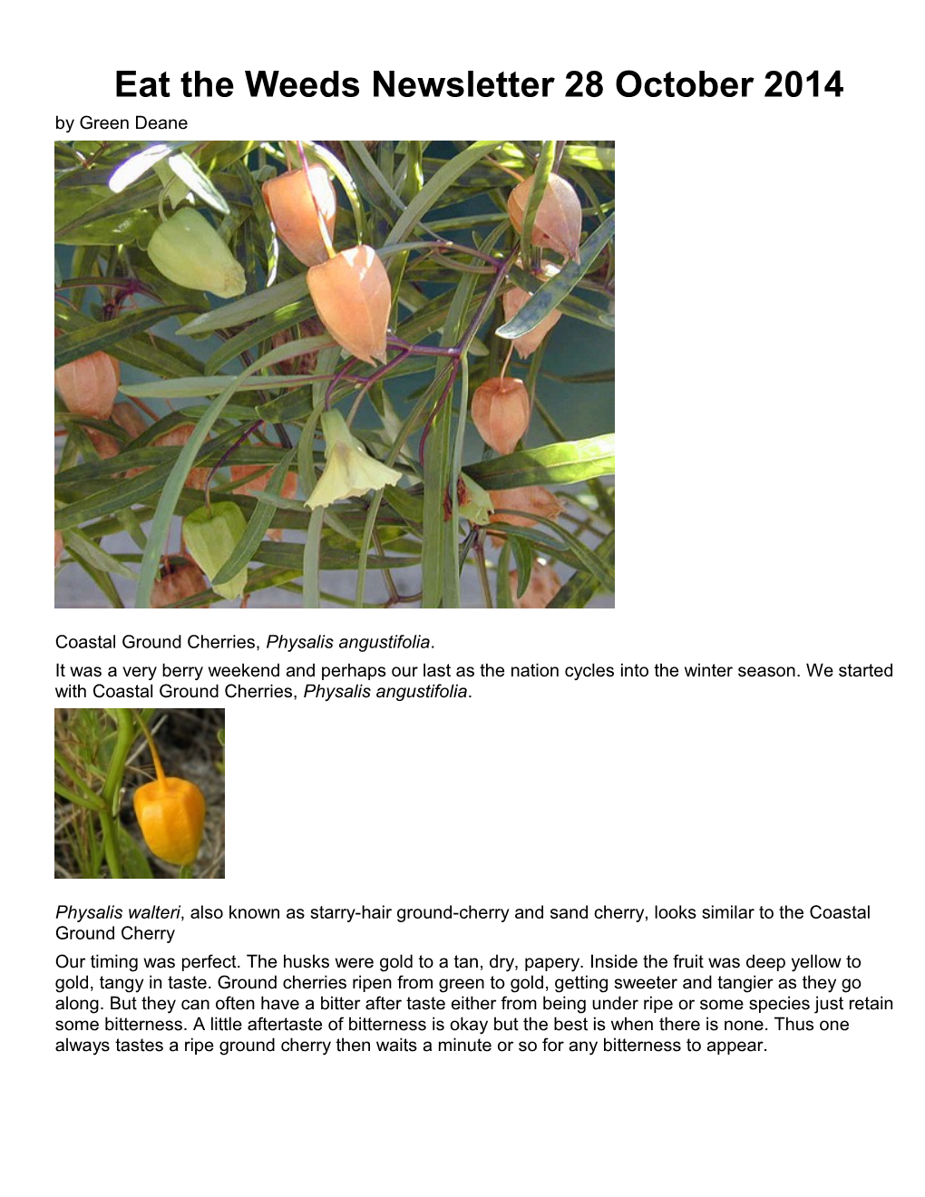 Eat the Weeds Newsletter 28 October 2014