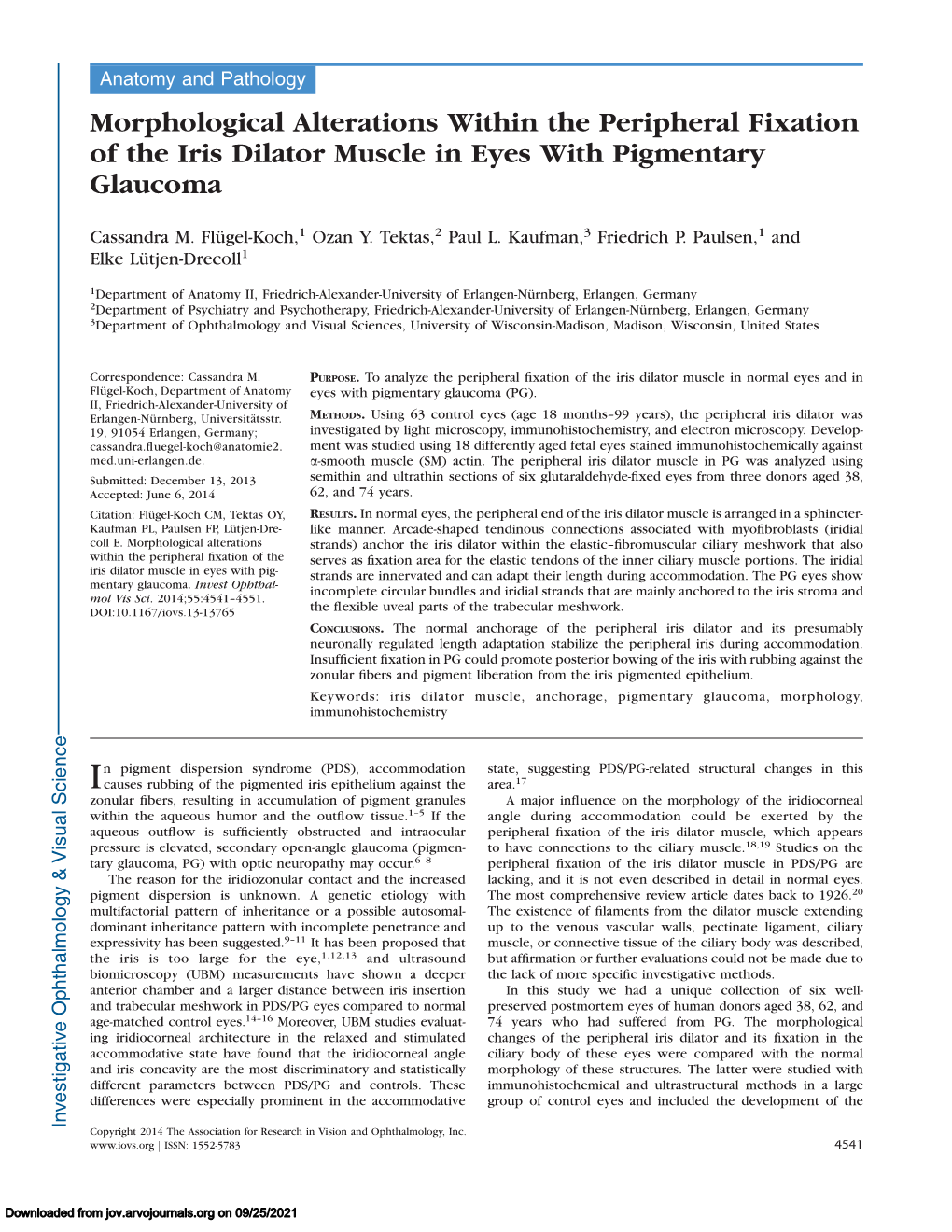 Morphological Alterations Within the Peripheral Fixation of the Iris Dilator Muscle in Eyes with Pigmentary Glaucoma