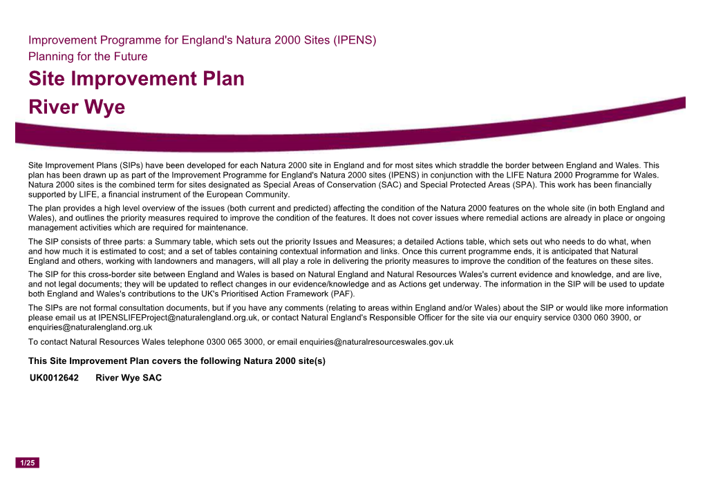 Site Improvement Plan River Wye