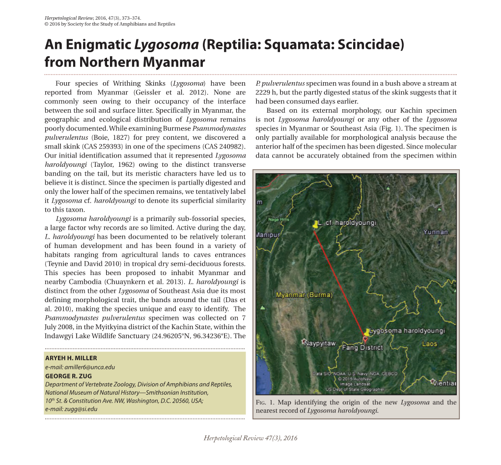 An Enigmatic Lygosoma (Reptilia: Squamata: Scincidae) from Northern Myanmar