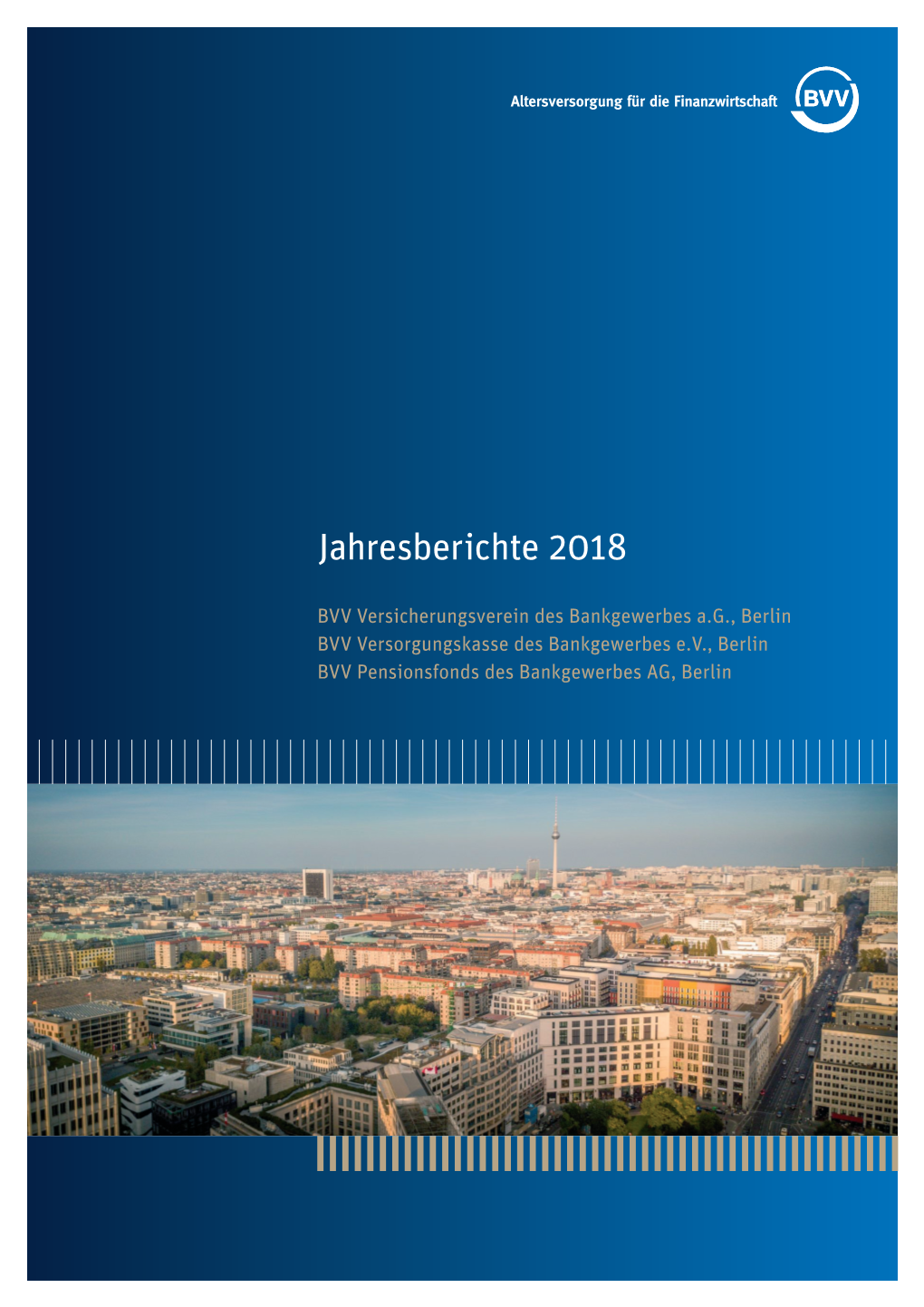 BVV Jahresberichte 2018