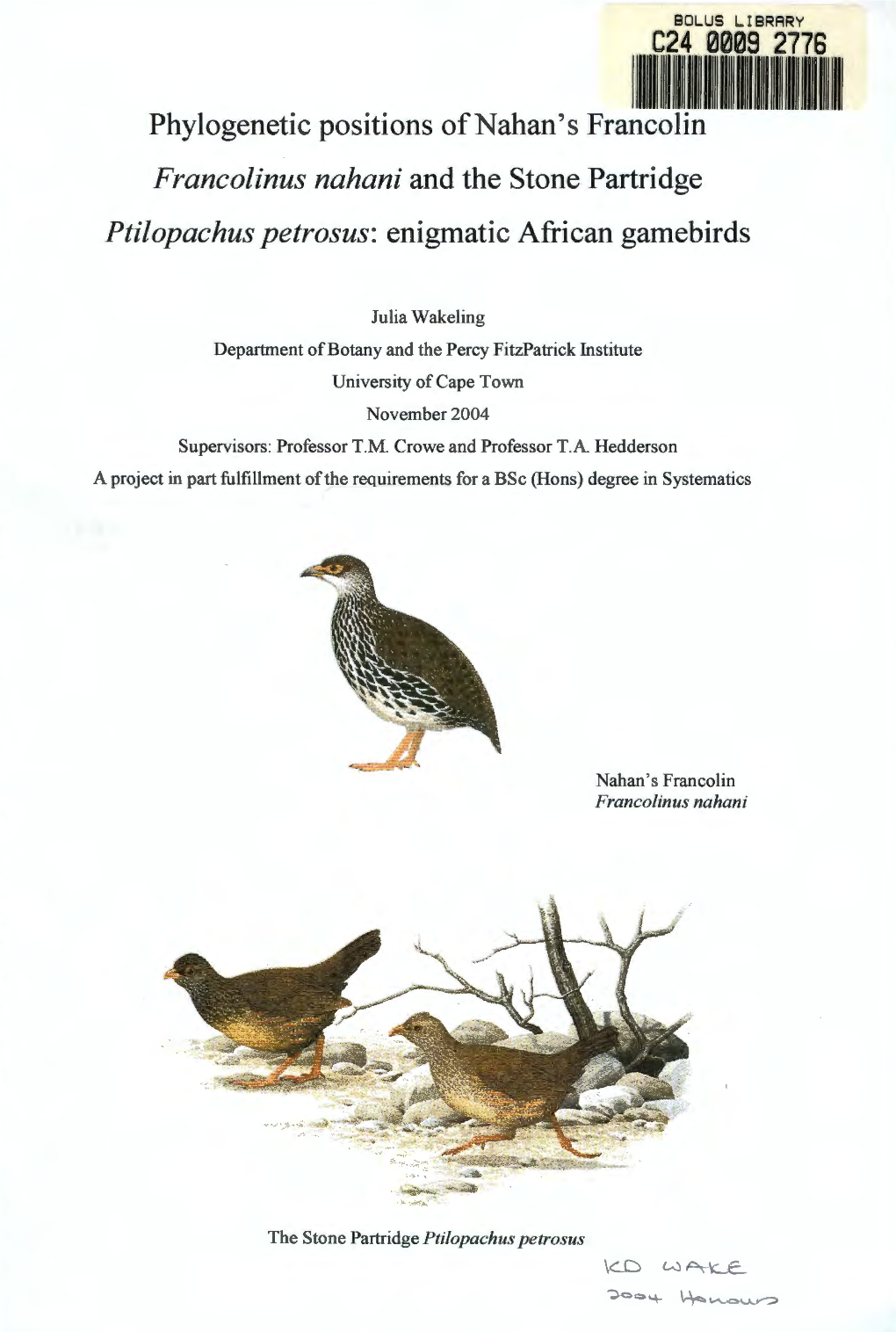 Phylogenetic Positions of Nahan's Francolin Francolinus Nahani And