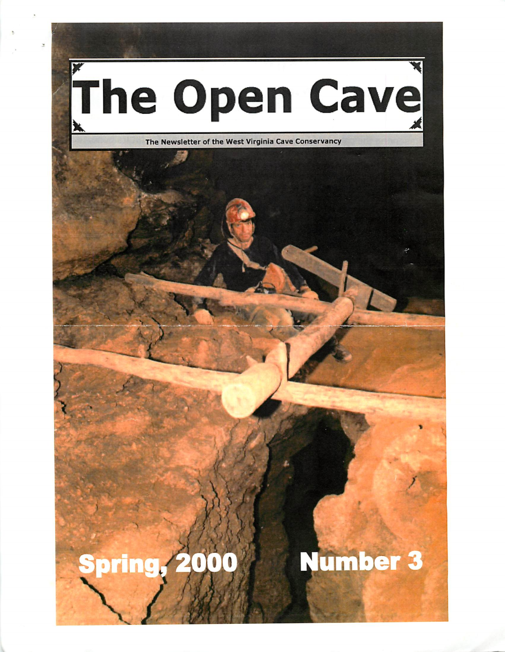 Haynes Cavemanaged by West Virginia Cave