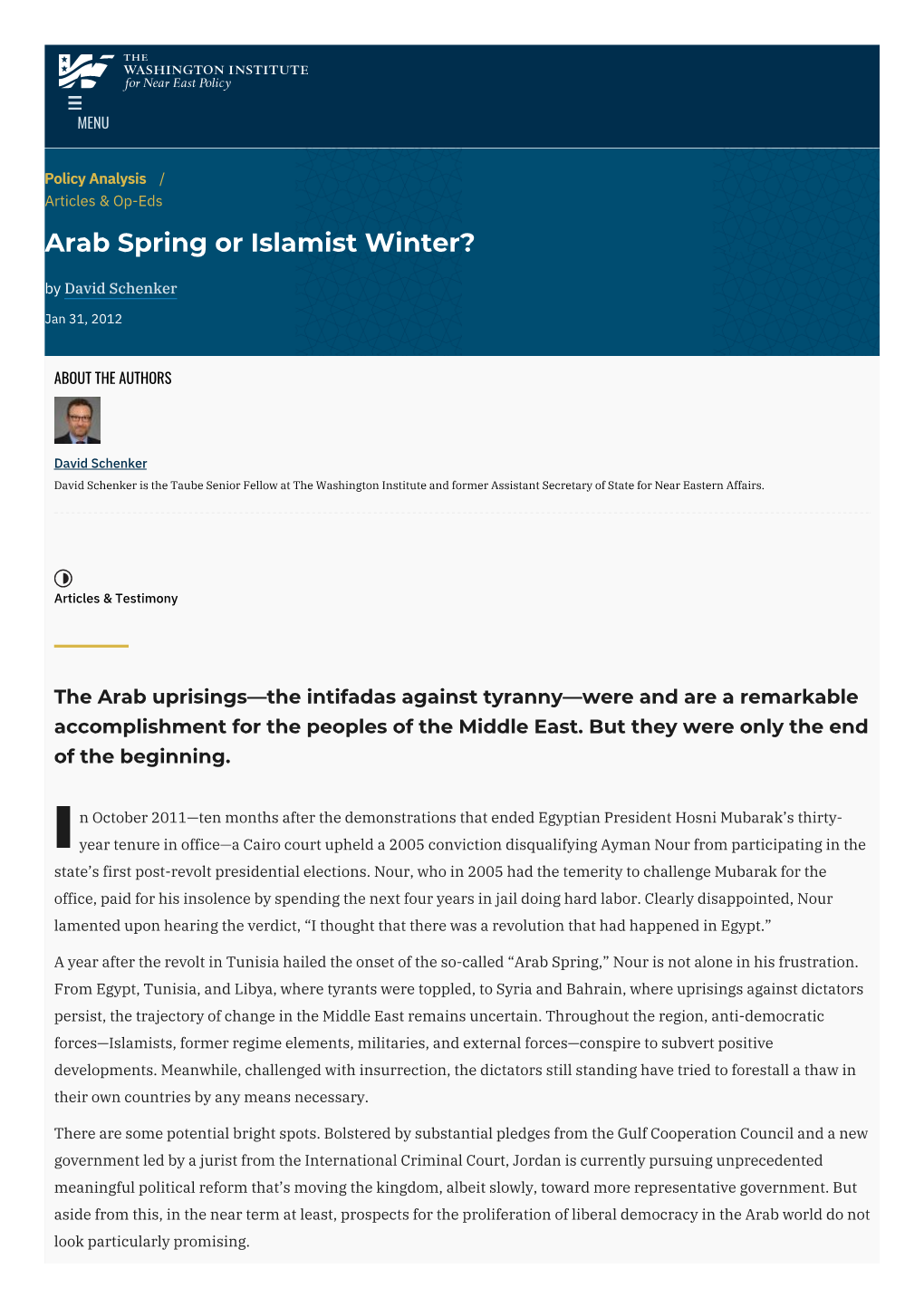 Arab Spring Or Islamist Winter? | the Washington Institute