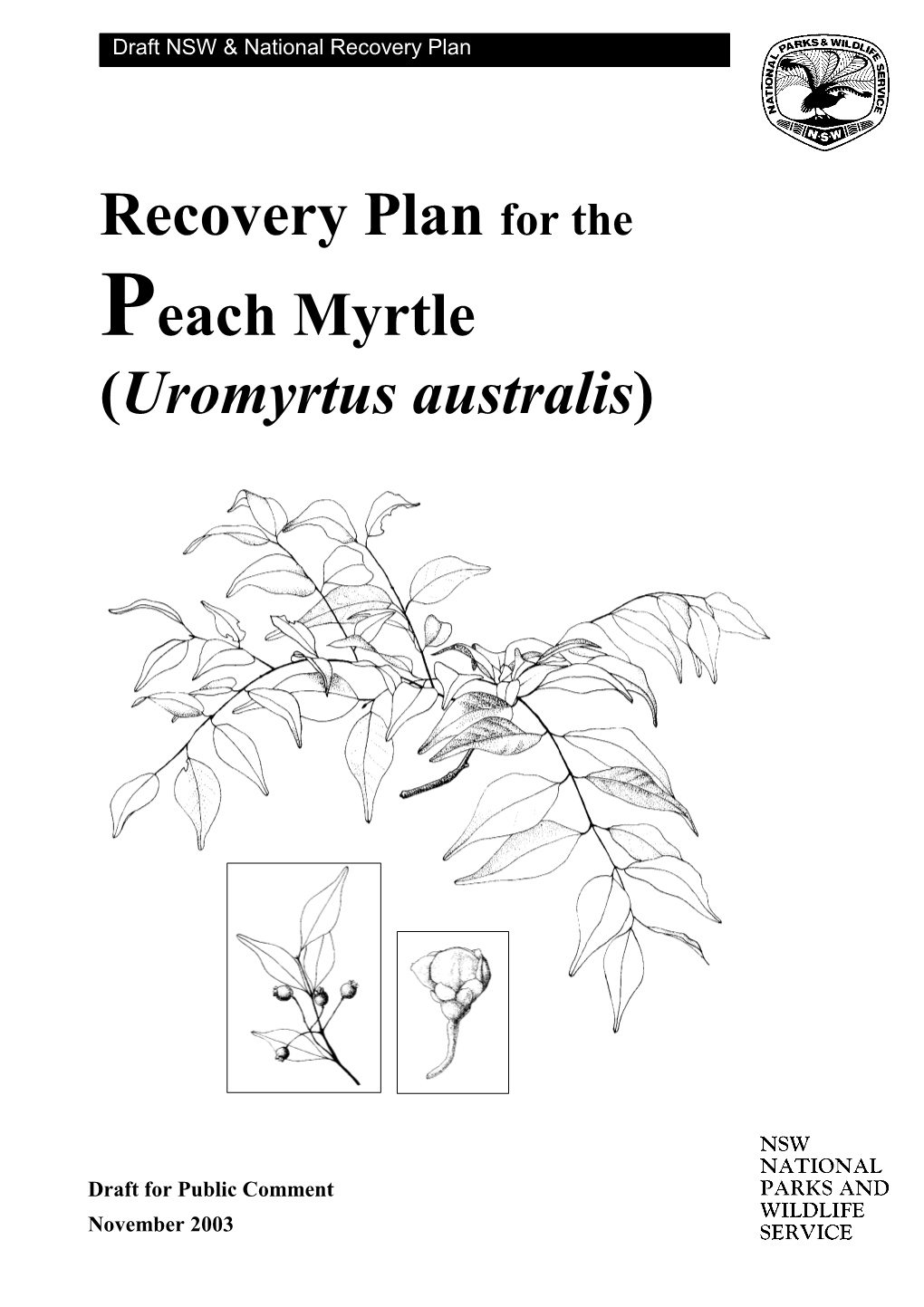 Uromyrtus Australis)