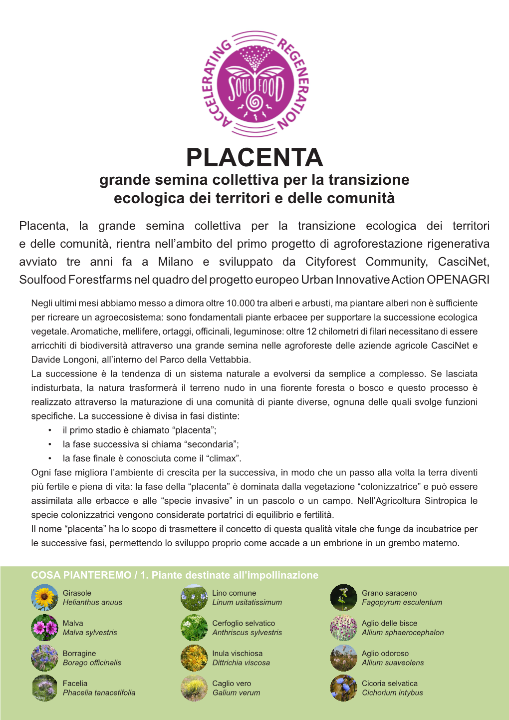 PLACENTA Grande Semina Collettiva Per La Transizione Ecologica Dei Territori E Delle Comunità