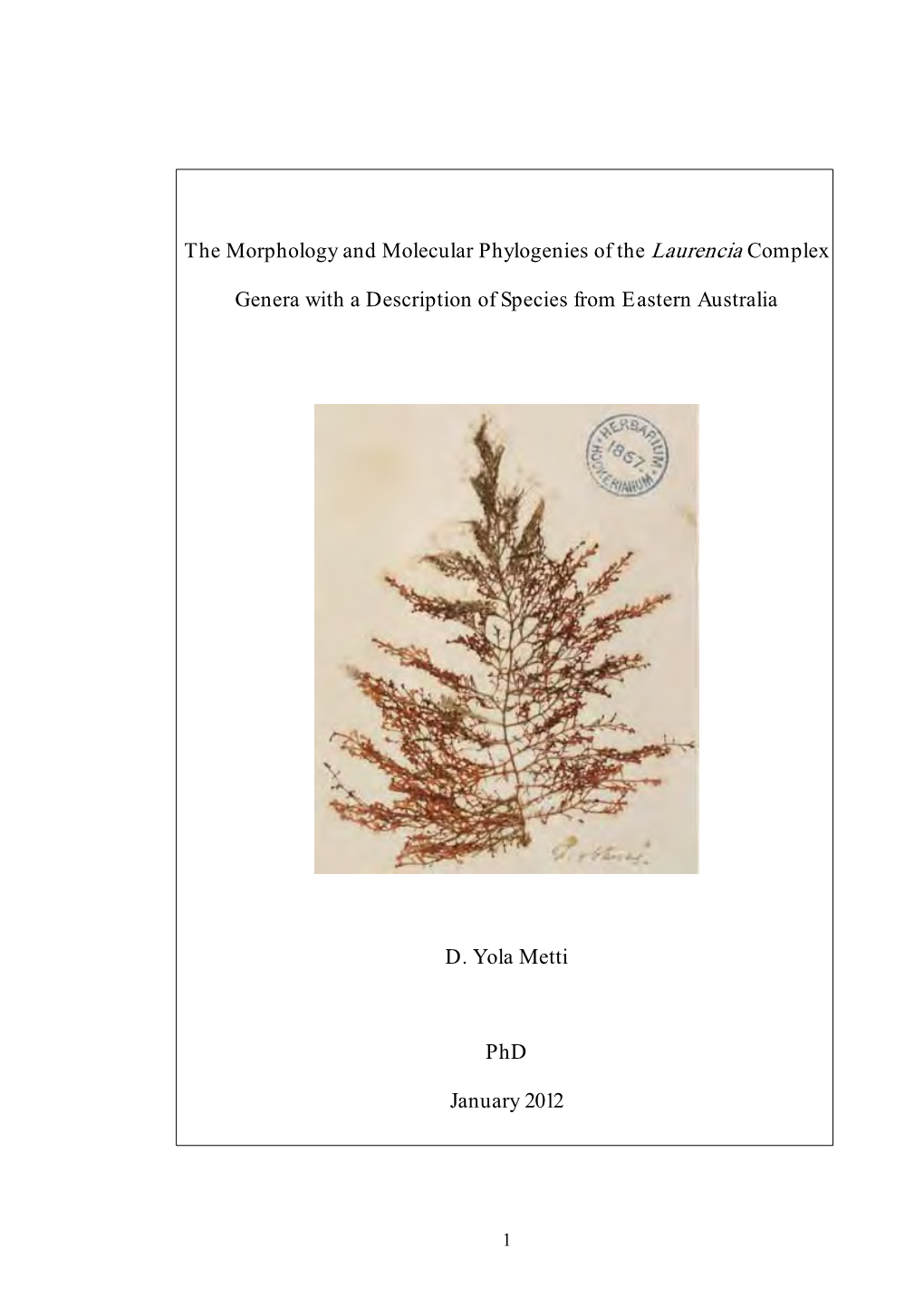 The Morphology and Molecular Phylogenies of the Laurencia Complex