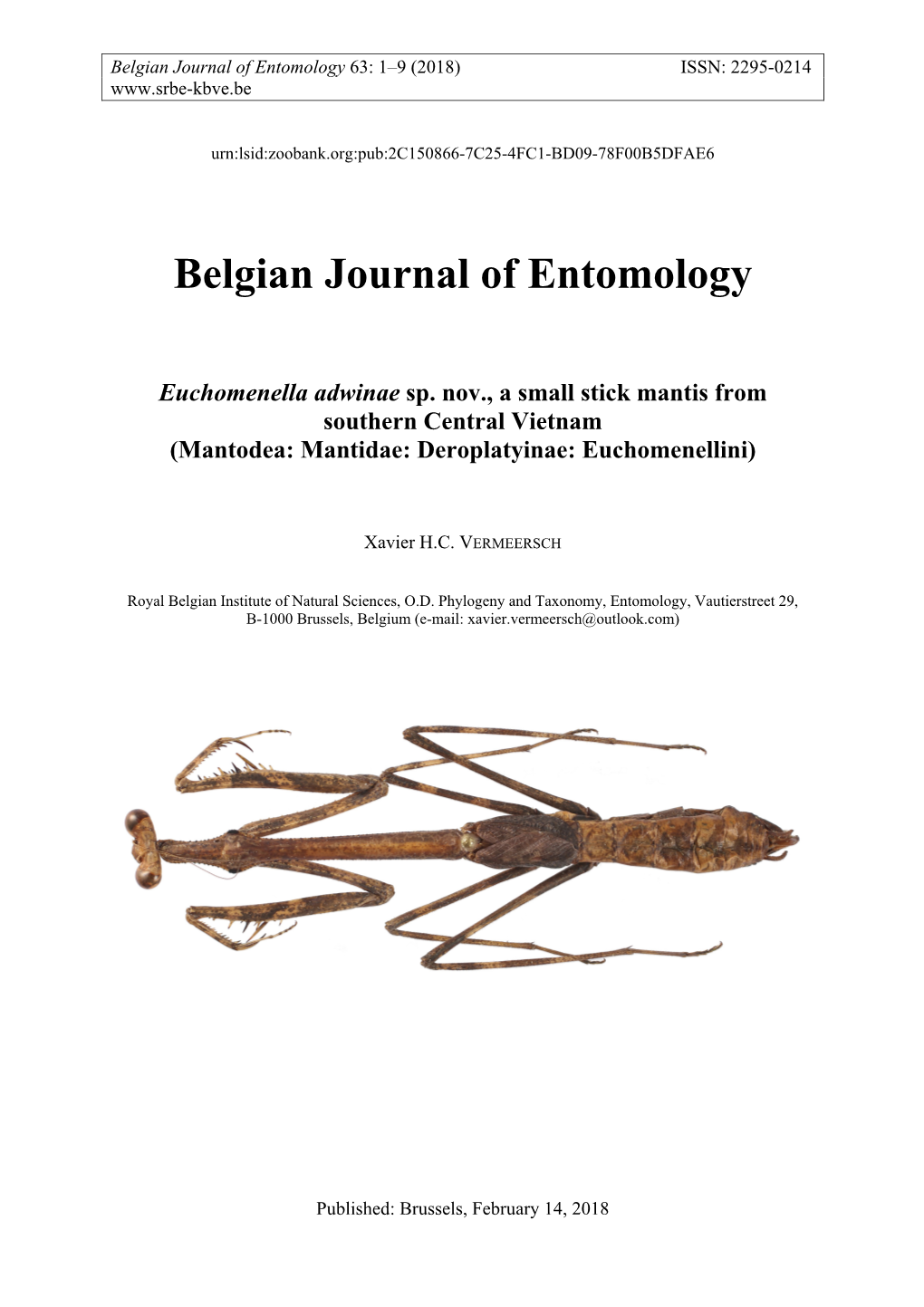 Belgian Journal of Entomology Euchomenella Adwinae Sp. Nov., A