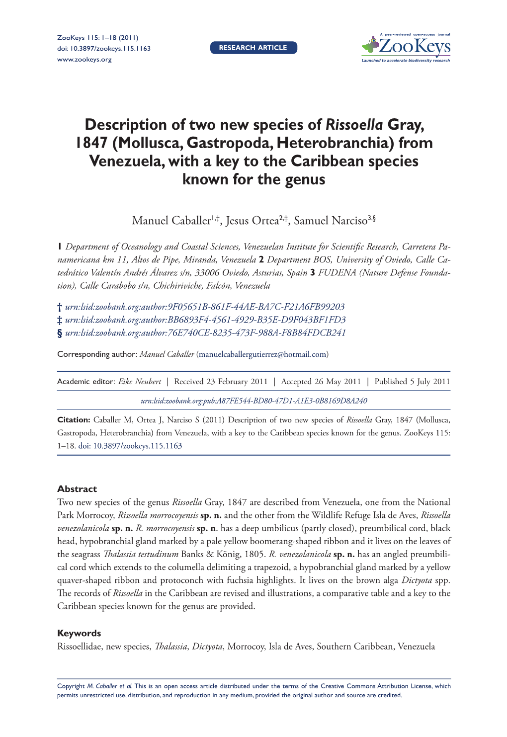 Description of Two New Species of Rissoella Gray, 1847 (Mollusca, Gastropoda, Heterobranchia) from Venezuela, with a Key to the Caribbean Species Known for the Genus