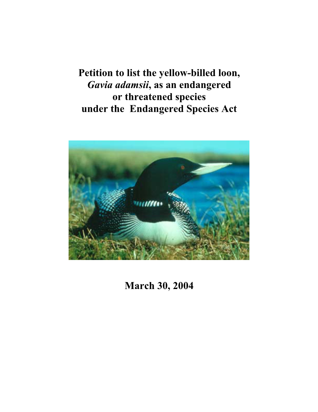 Petition to List the Yellow-Billed Loon, Gavia Adamsii, As an Endangered Or Threatened Species Under the Endangered Species Act
